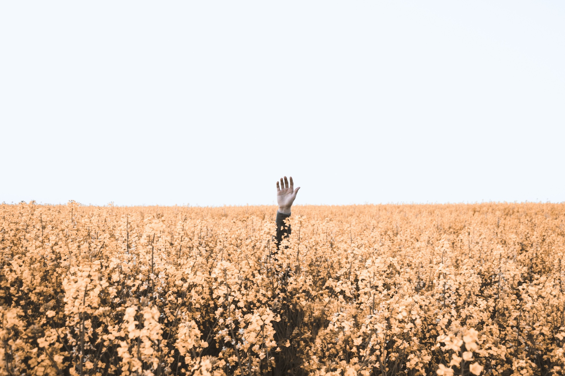 The Cost of Irrelevance: How Poor Search Drains $2 Trillion from the Digital Economy